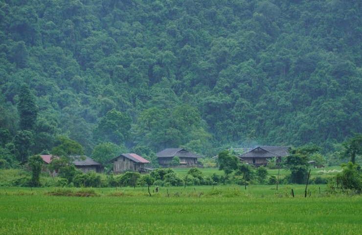 Ảnh Hoàng Vũ