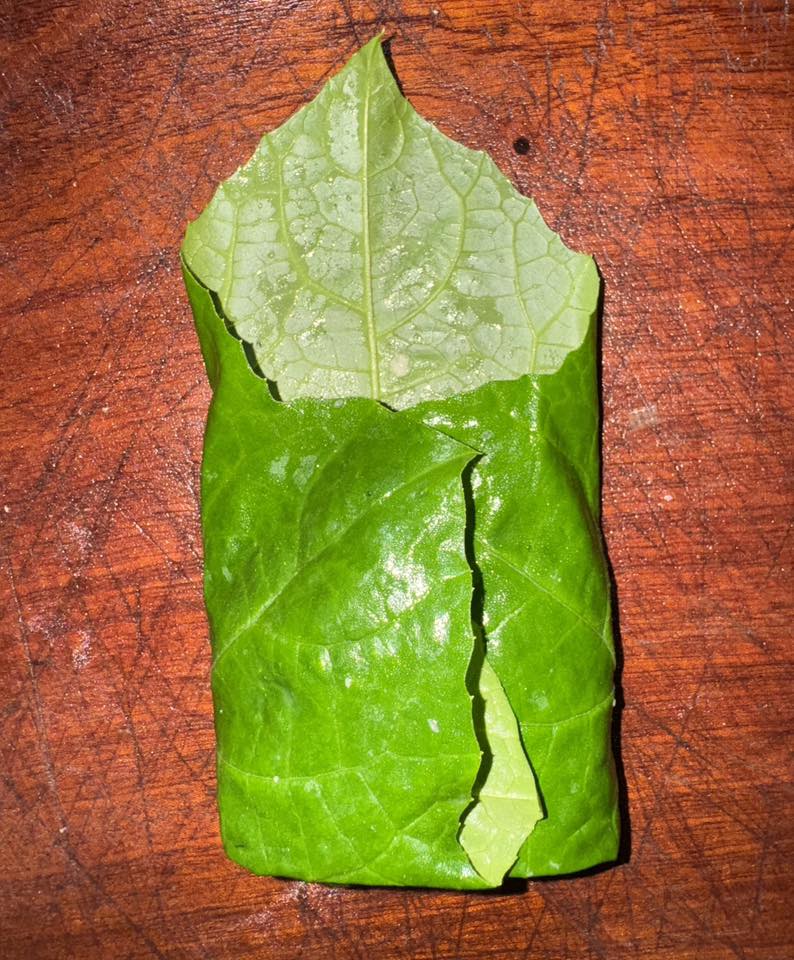 Thịt vịt cuộn với loại lá chỉ có vào mùa hè thành món ai ăn cũng "nghiện" - 6