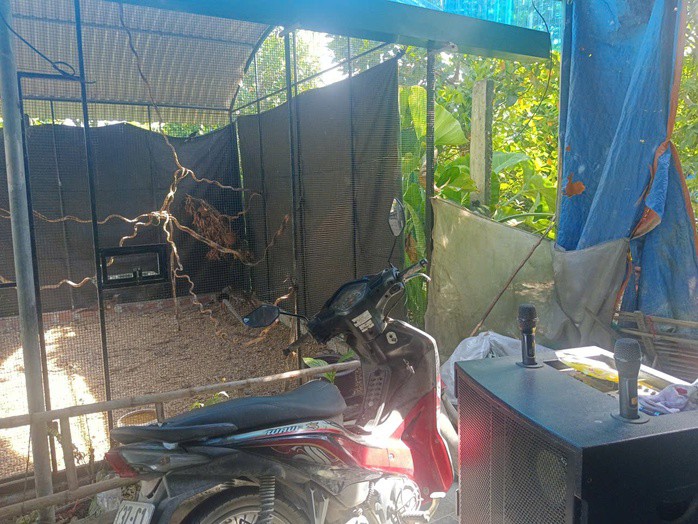 Khu chuồng nhỏ nơi anh Thành nhân giống thành công 10 con gà lôi trắng