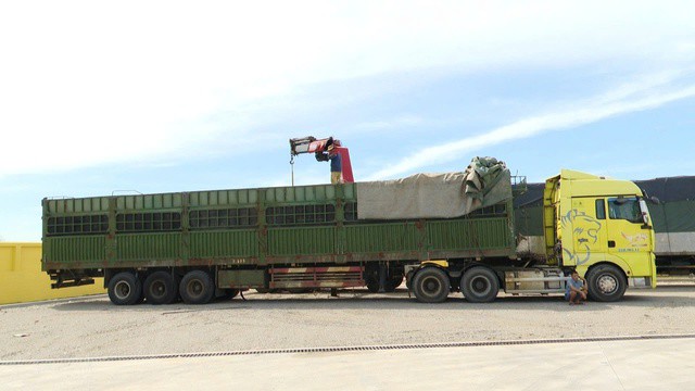 Phương tiện vi phạm tại cơ quan chức năng. Ảnh: Quang Văn.