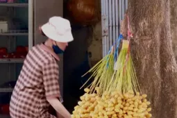 Chà là tươi Thái Lan giá rẻ bán khắp Hà Nội