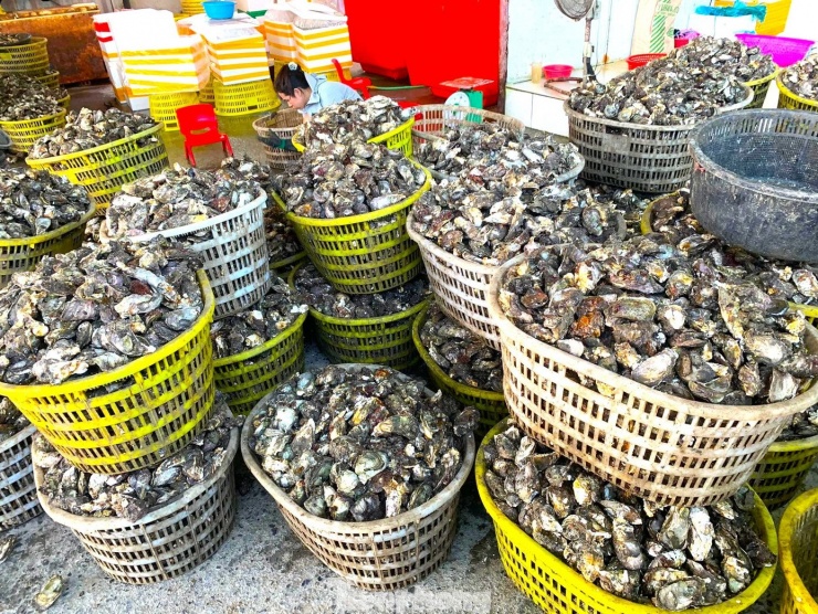 Nhưng nguyên nhân "đánh bại" hàu Quảng Ninh là do hàu nhập lậu từ Trung Quốc tràn lan thị trường. Khiến hàu nội địa vốn đã rẻ nay càng rẻ hơn khi không cạnh tranh được với "hàu vàng" nhập lậu to, béo lại có giá thành rẻ.