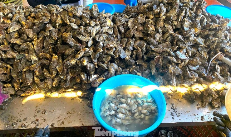 Nhiều chủ cơ sở nuôi hàu chấp nhận bán hàu với giá 5.000 đồng/kg vì đang đến mùa thu hoạch, hàu không bán được sẽ già đi và ruột hàu sẽ teo lại. Lúc đấy giá bán càng thảm hại. Trước đây, trung bình giá hàu từ 13.000 - 17.000 đồng/kg. Nhiều năm giá còn lên đến 22.000 đồng/kg hàu thương phẩm.