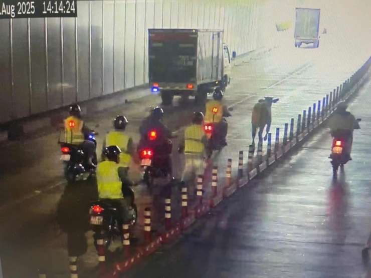 Hy hữu giao thông vào trung tâm TPHCM rối loạn 30 phút vì bò ‘đột nhập’ hầm Thủ Thiêm - 1
