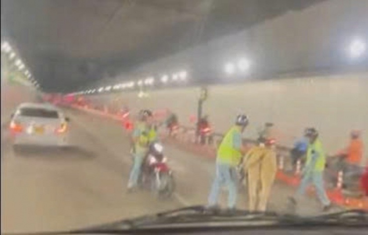 Hình ảnh hy hữu bò 'đột nhập' vào hầm Thủ Thiêm. Ảnh: TH