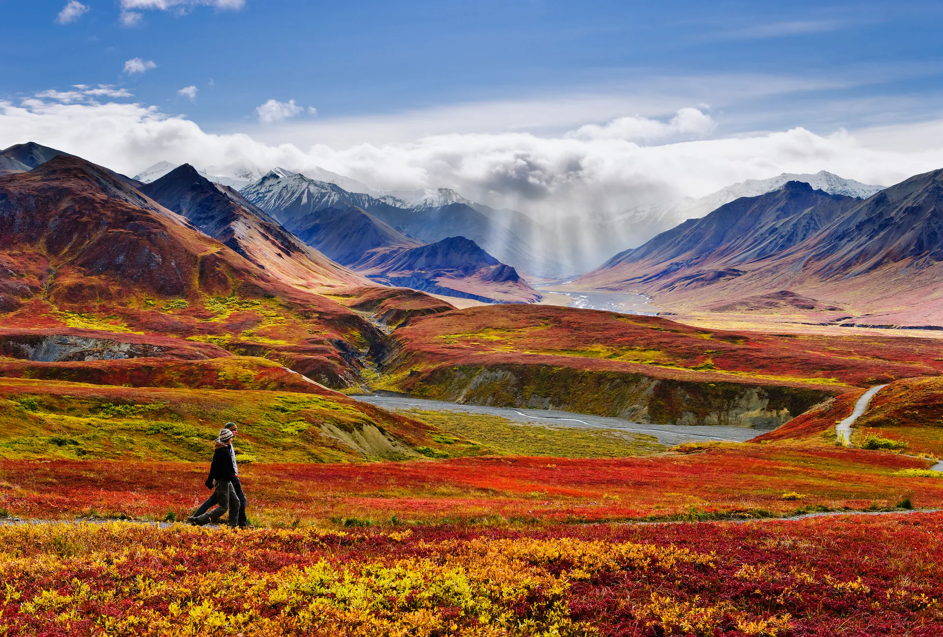 Giữa mùa thu, vườn quốc gia Denali rực rỡ sắc vàng, đỏ và cam, nổi bật trên nền núi tuyết hùng vĩ.