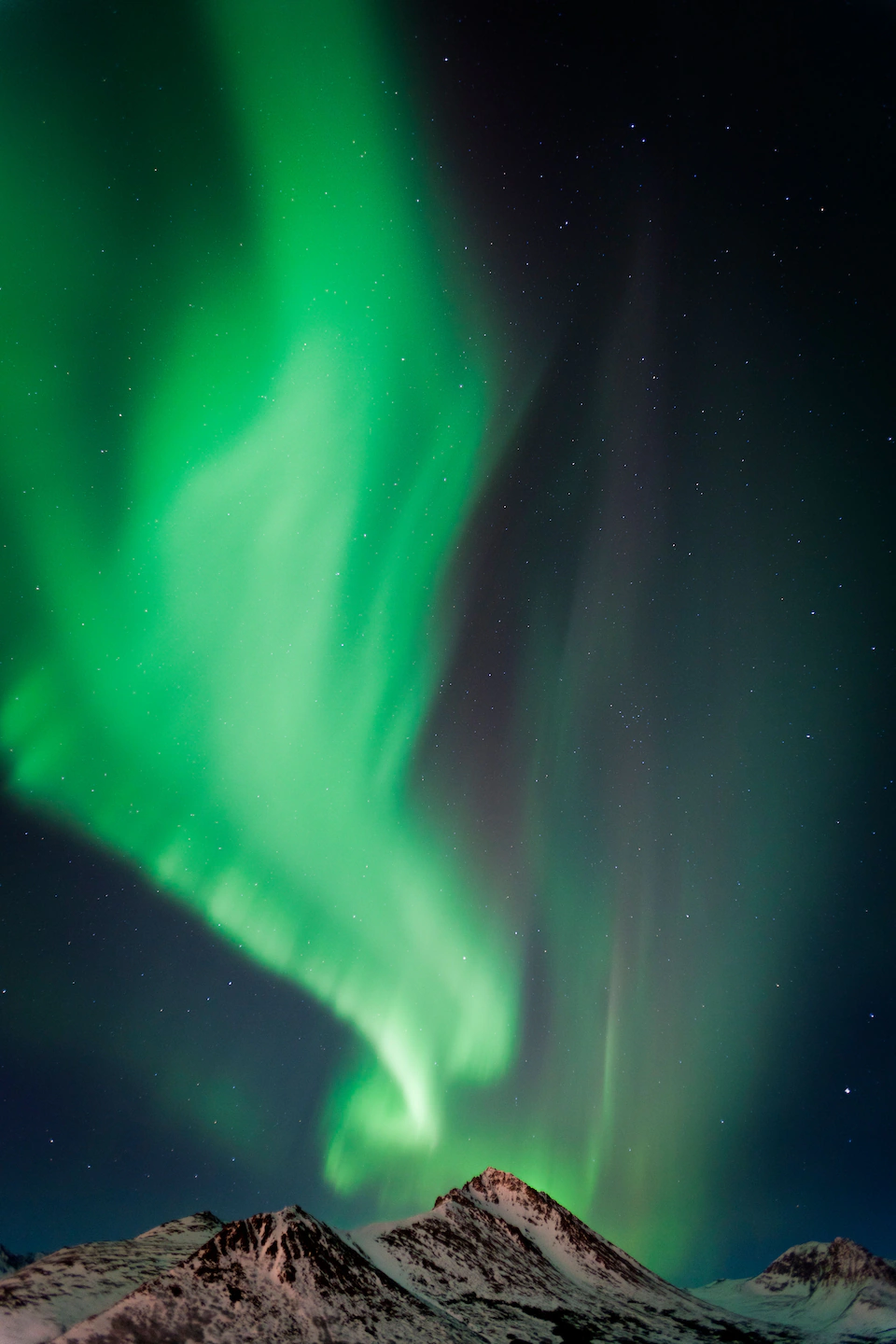 Alaska là một trong những nơi tuyệt vời nhất để ngắm cực quang. Thành phố Fairbanks là điểm dừng chân lý tưởng cho những ai muốn săn tìm ánh sáng kỳ ảo này.