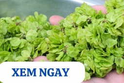 Tin tức sức khỏe - “Thần dược” cho xương khớp mỗi khi trời mưa bão, thời tiết thay đổi