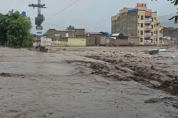 Lở đất, lũ quét khiến gần 200 người thiệt mạng tại Pakistan