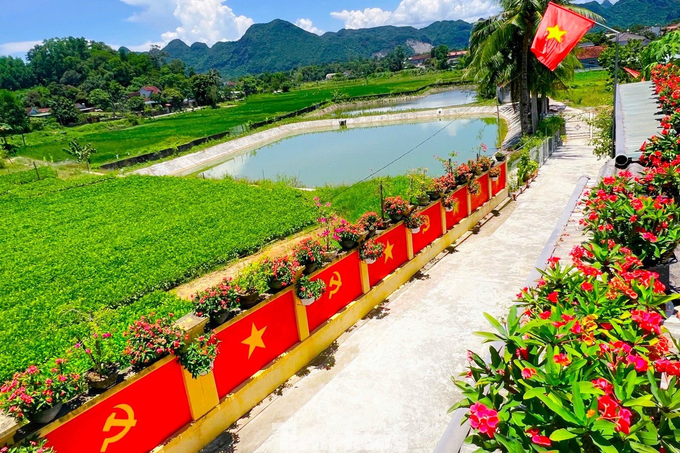 Con đường rực rỡ cờ Tổ quốc, cờ Đảng của vợ chồng miền núi thu hút giới trẻ check in - 4