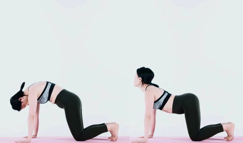 3 bài tập vàng giảm đau cột sống lưng không phải ai cũng biết - 1