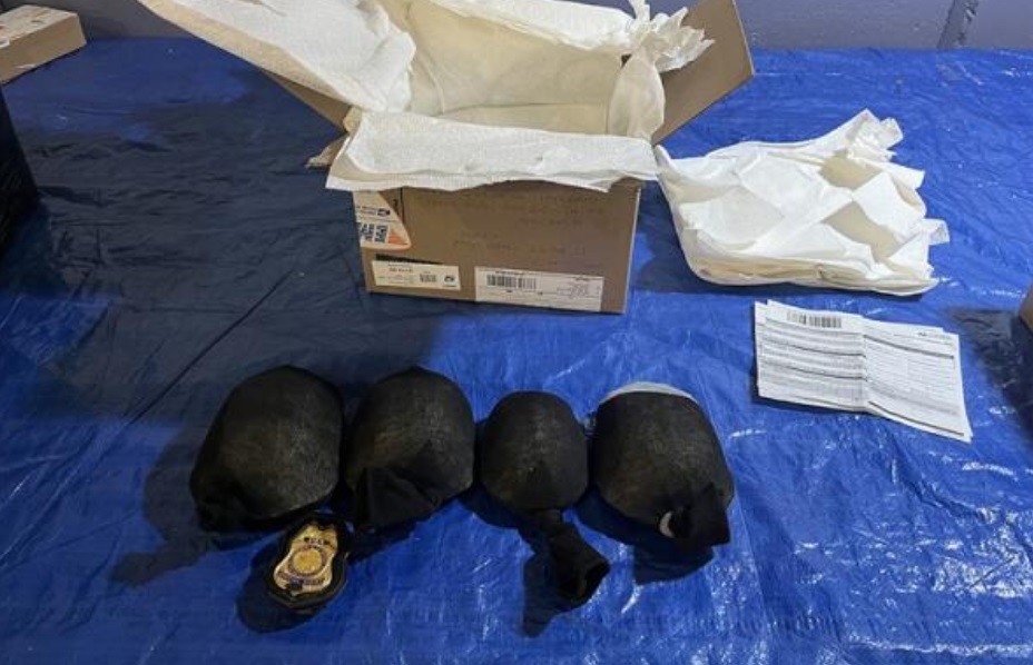 Rùa được bảo vệ bị bọc trong tất để buôn lậu từ Mỹ sang Hồng Kông. Nguồn: Bộ Tư pháp Mỹ