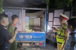 Cao điểm dịch tả lợn châu Phi, tiểu thương lén lút tiêu thụ lợn hơi, thực phẩm đông lạnh giữa đêm