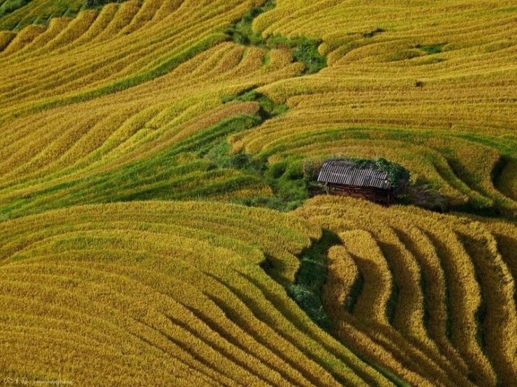 Ảnh Mây Lang Thang