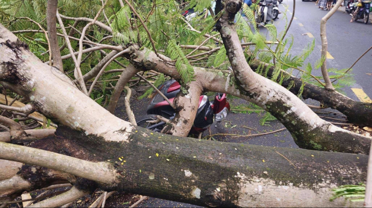 4 người đi đường bằng xe máy thoát nạn trong gang tấc.