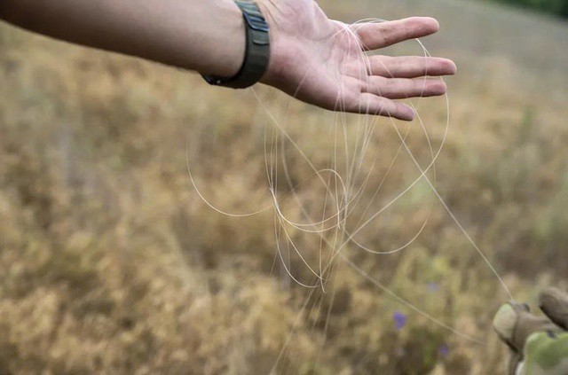 Cáp quang rất mỏng và dễ bị rối. (Nguồn: Getty Images)