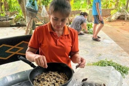 Loại côn trùng có nọc độc chết người được lùng mua để lấy “thịt”, giá lên đến 750 nghìn đồng/kg