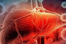 Gan sạch, cơ thể khỏe nhờ 6 cách thải độc đơn giản, ai cũng làm được