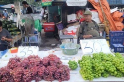 Thị trường - Tiêu dùng - Nho Trung Quốc 'đội lốt' nho Ninh Thuận bán đầy Hà Nội, giá bằng mớ rau, người sành ăn chỉ cách phân biệt