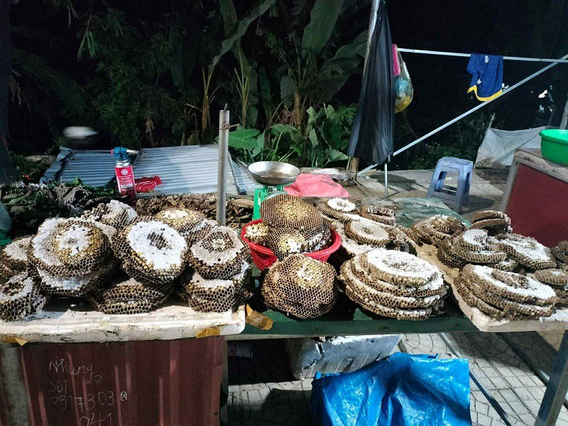 Ong vò vẽ tách tầng bán với giá từ 200-350 nghìn đồng/kg. (Ảnh: Cúc Lan)