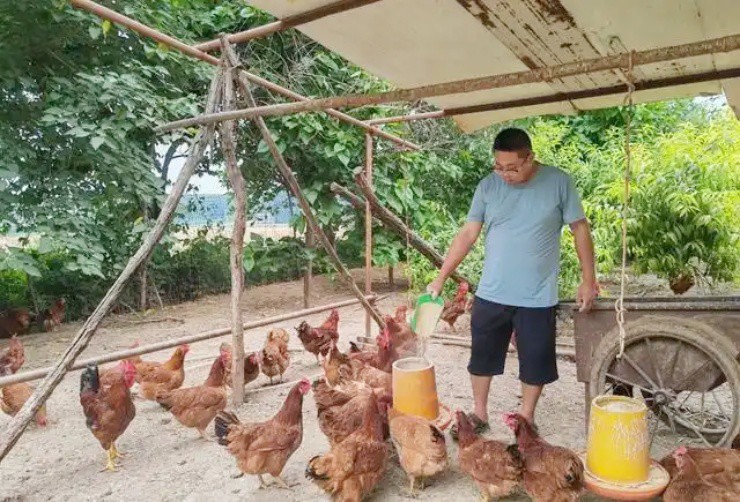 Từng mất trắng hơn 200 triệu, nay giàu to nhờ lên núi nuôi loài “nhả vàng” - 1