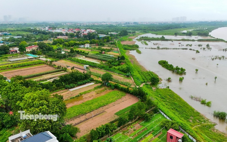 Theo ghi nhận, tuyến đường dẫn từ cao tốc Pháp Vân - Cầu Giẽ lên cầu Ngọc Hồi sẽ đi qua khu vực đê Hữu Hồng - nơi hiện chủ yếu là cánh đồng canh tác và các ao hồ xen kẽ.