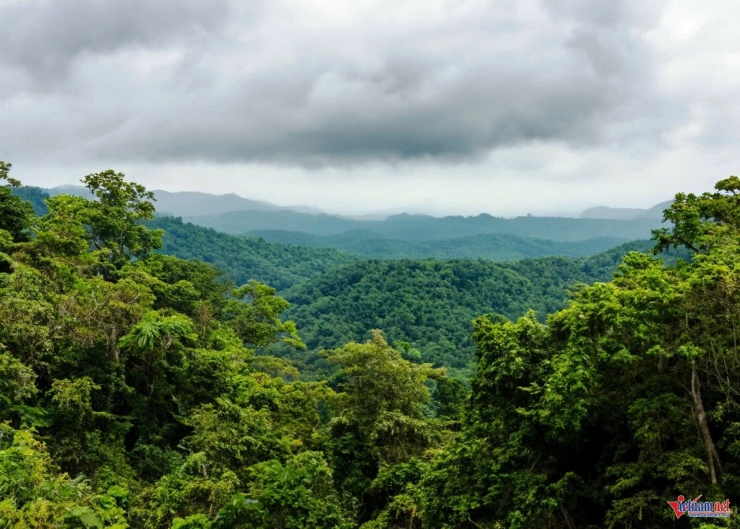 Lực lượng chức năng mở rộng khu vực tìm kiếm nam du khách mất tích tại VQG Cúc Phương