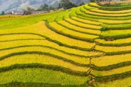 Du lịch - Cẩm nang du lịch: Hà Nội rợp cờ hoa kết hợp Sa Pa lúa vàng 2/9