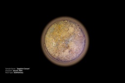 Công nghệ thông tin - Hai tảng đá “da báo” tiết lộ về sự sống ngoài hành tinh?