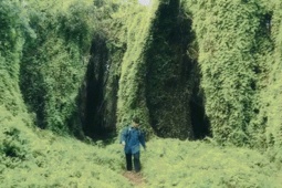 Du lịch - 'Khu rừng cổ tích' ở Khánh Hòa gây sốt mạng, khách mất 2 tiếng tìm đường vào