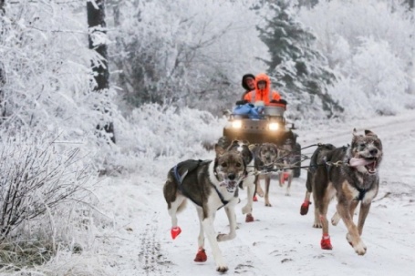 Alaska - vùng đất hoang dã của nước Mỹ