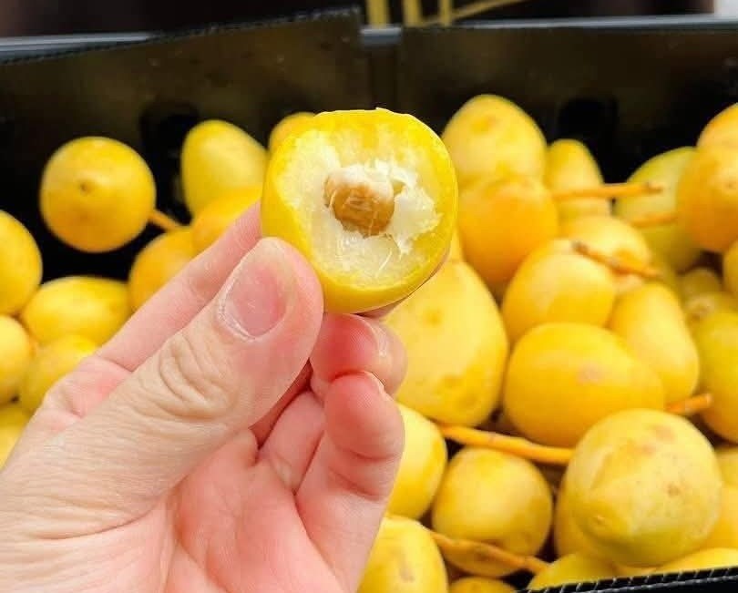 Để mua được chà là ngon và đúng nguồn gốc, người tiêu dùng nên chọn nơi bán uy tín.