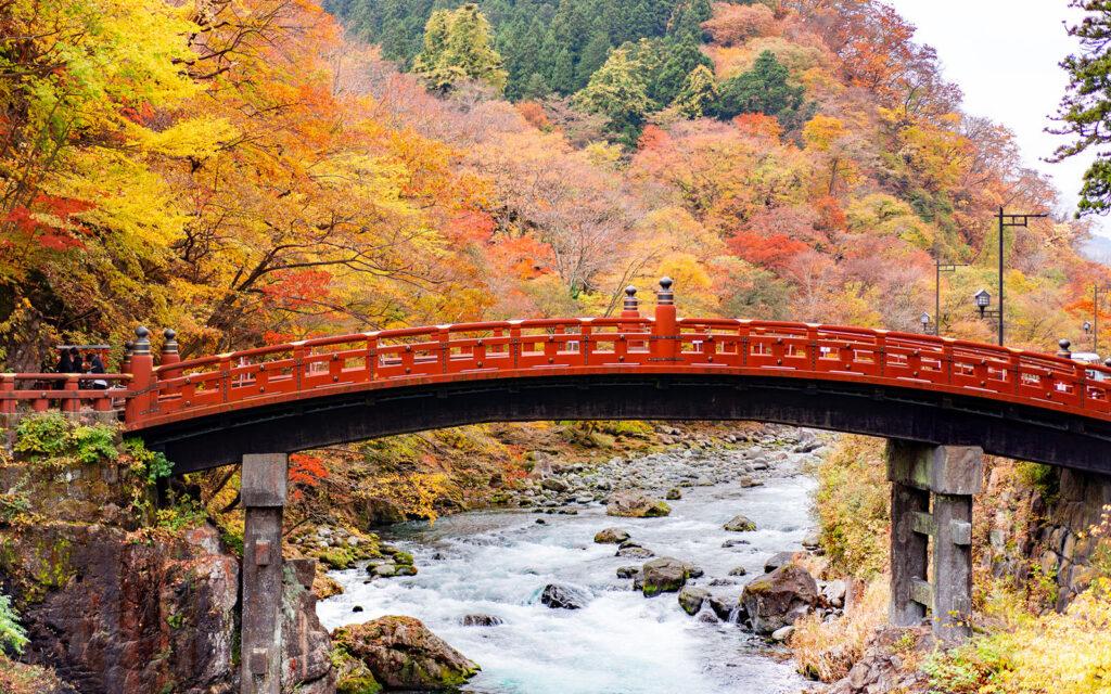 Khởi động chiến dịch “Chào thu, vi vu Nhật Bản” cùng Hanoitourist - 2