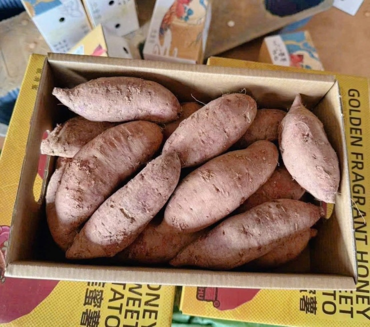 Khoai lang sầu riêng Trung Quốc đang gây sốt ở chợ online với giá bán vô cùng đắt đỏ. Ảnh: NVCC