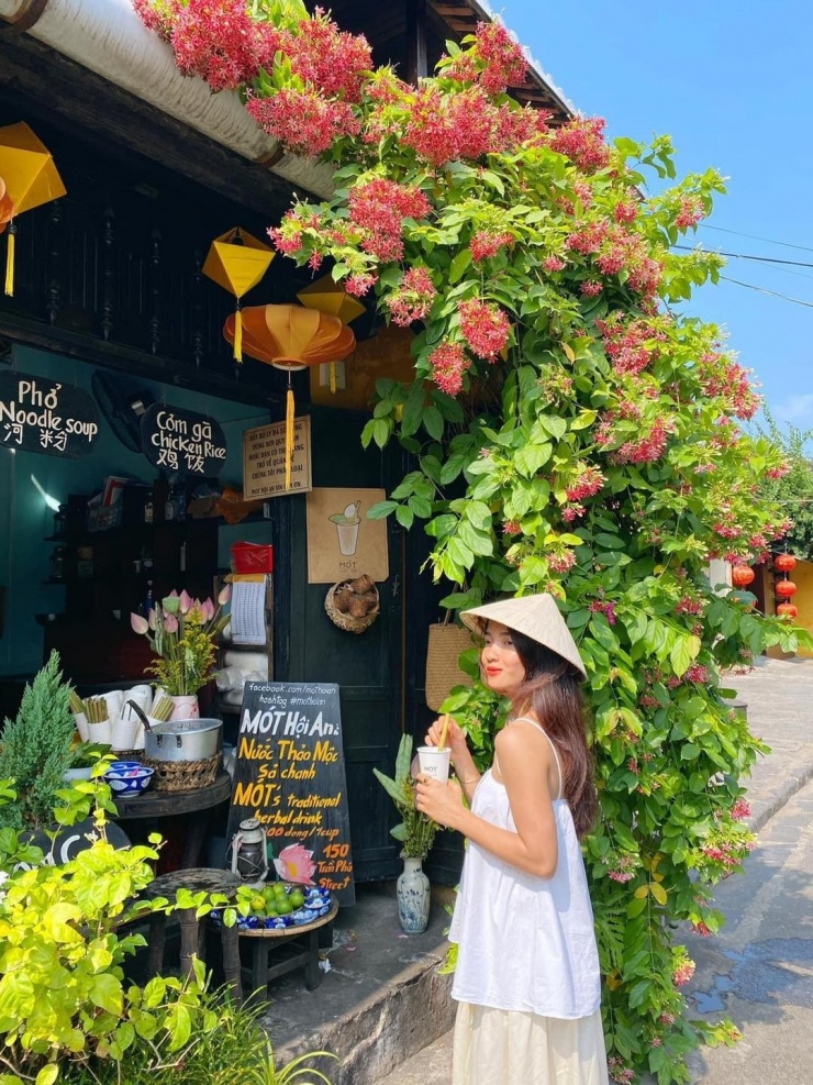 Ảnh Phương Nam Trang