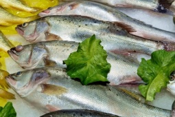 Ẩm thực - 4 loại cá bổ dưỡng nhất được bác sĩ khuyên nên ăn, ai cũng có thể mua dễ dàng