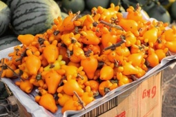 Tin tức sức khỏe - 3 thực phẩm màu vàng “được săn lùng” vì công dụng hỗ trợ giảm tiểu đêm cực nhạy!