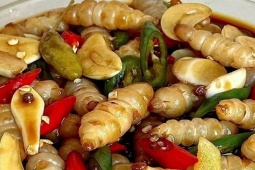 Loại rau củ nhìn qua "sợ khiếp", không ngờ tốt như nhân sâm, đào bán là hốt bạc