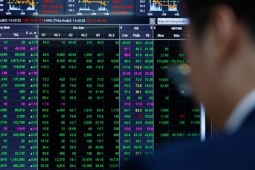 Chuyên gia kỳ vọng VN-Index chạm 1.800 điểm cuối năm nay