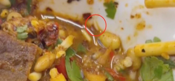 Khách thấy giòi trong lẩu, chủ quán cãi đó là “protein” - 2