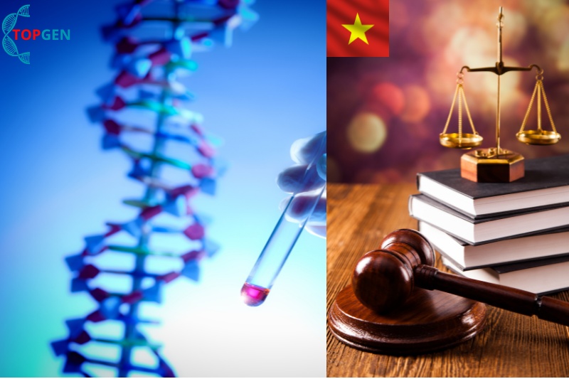 Nhu cầu xét nghiệm ADN đang tăng dần tại Việt Nam - 2