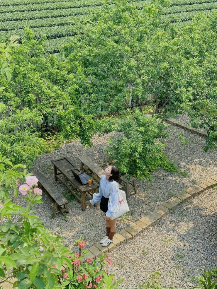 Mộc Châu mùa thu có gì hấp dẫn khiến tín đồ du lịch đứng ngồi không yên? - 3