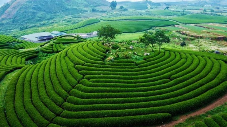 Mộc Châu mùa thu có gì hấp dẫn khiến tín đồ du lịch đứng ngồi không yên? - 4