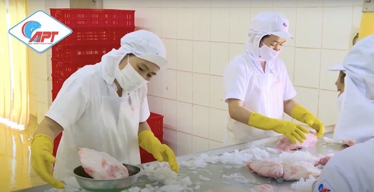 Đến cuối năm 2024, Thủy hải sản Sài Gòn lỗ lũy kế 1.556 tỷ đồng. Ảnh: APT