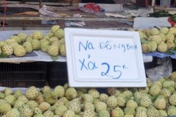 Na 'dởm' gắn mác Đồng Bành bán đầy chợ Việt, giá chỉ 20.000 đồng/kg