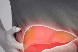 5 thói quen hàng ngày có thể đẩy gan nhiễm mỡ tới ung thư và cách phòng ngừa