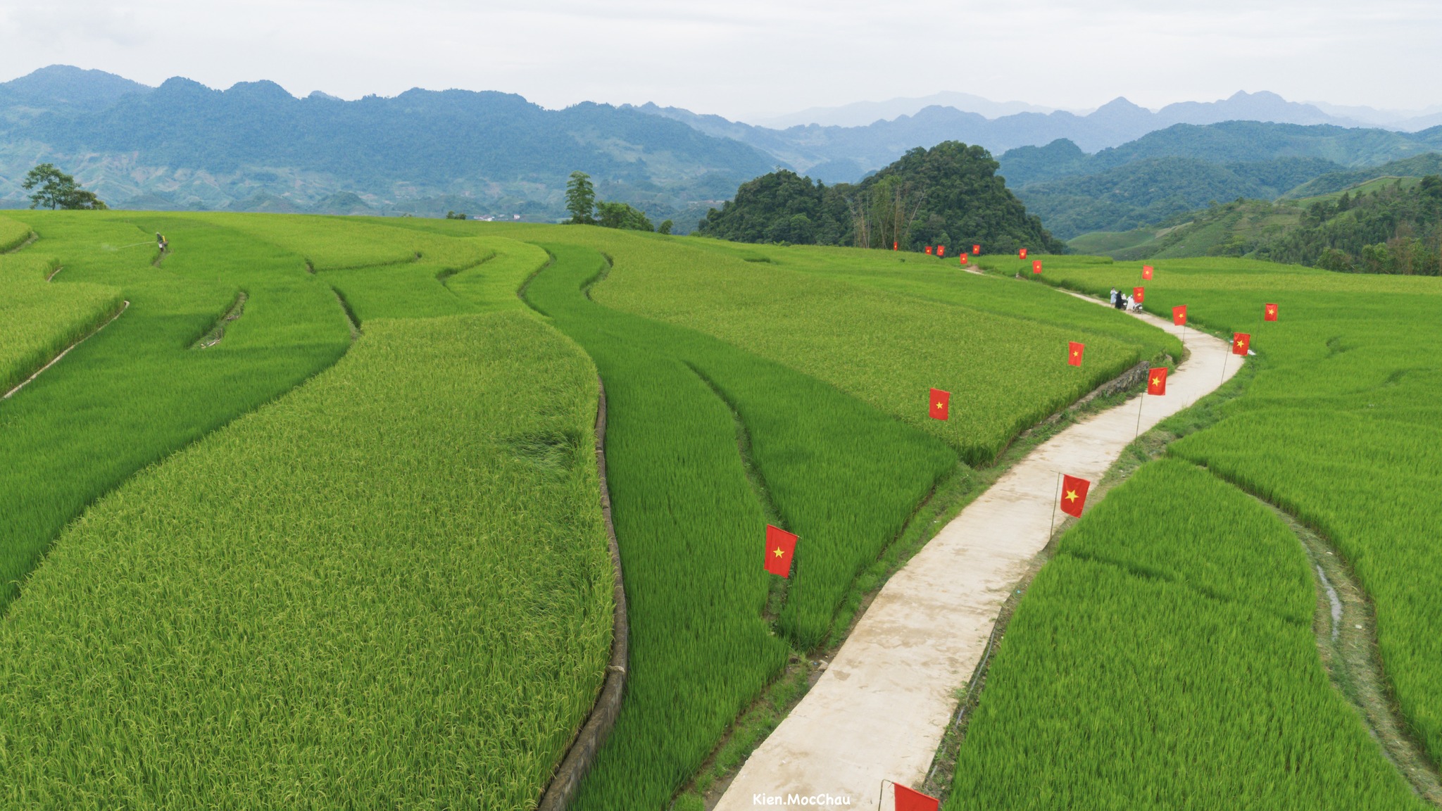 Con đường rực rỡ cờ đỏ sao vàng giữa cánh đồng lúa Suối Lìn - 1