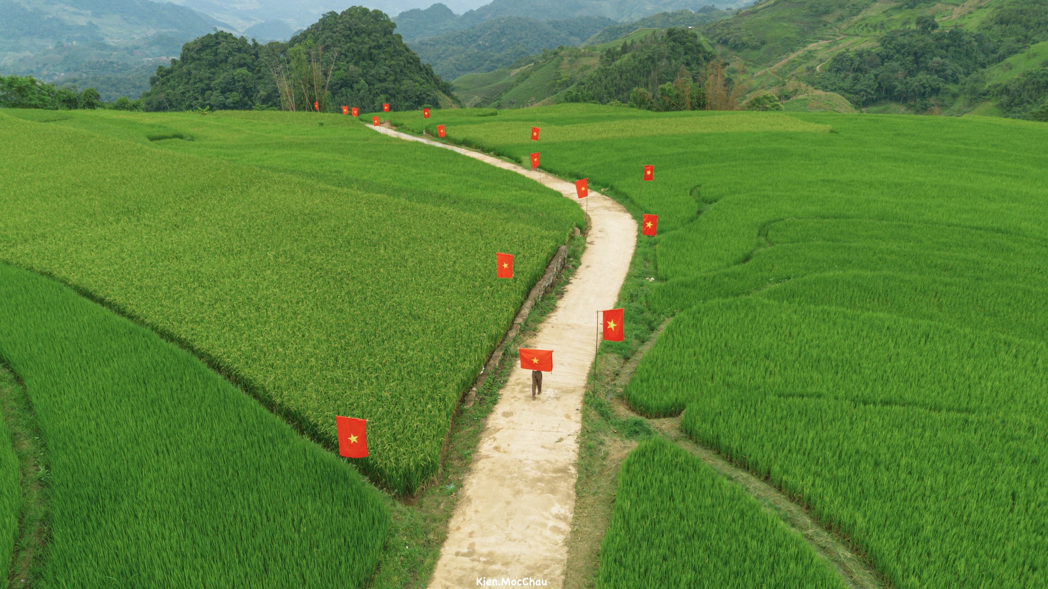Con đường rực rỡ cờ đỏ sao vàng giữa cánh đồng lúa Suối Lìn - 3