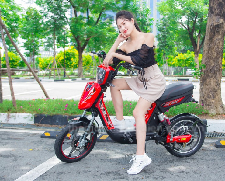Giá xe đạp điện EV mới nhất cuối tháng 8/2025 - 1