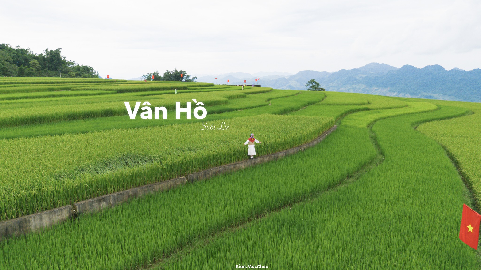 Con đường rực rỡ cờ đỏ sao vàng giữa cánh đồng lúa Suối Lìn - 9